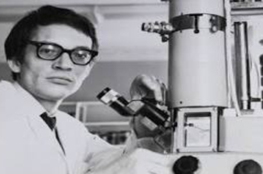 First successful human bone marrow transplant 